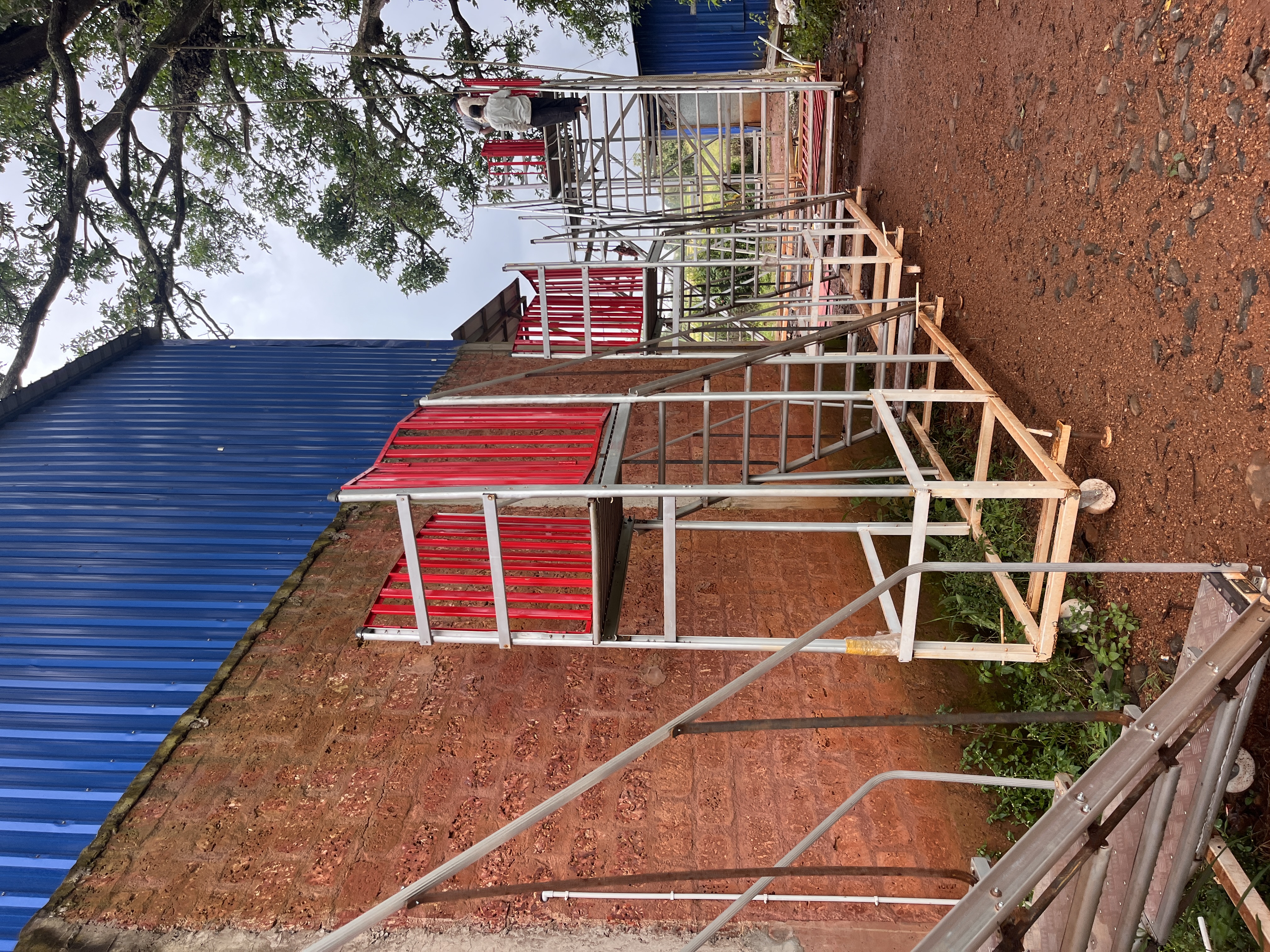 Other Custom Ladder - Image 1