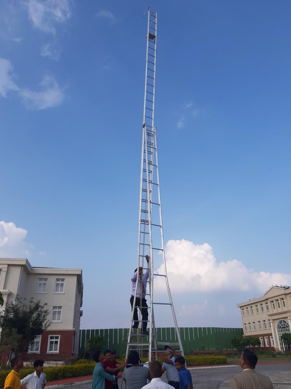 Other Custom Ladder - Image 4
